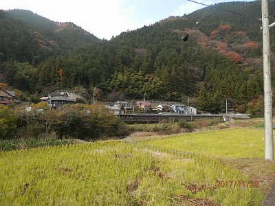 Japonský ostrov Šikoku v purpurové barvě podzimu