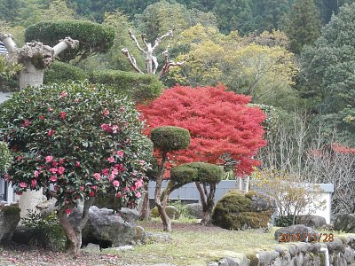 Japonský ostrov Šikoku v purpurové barvě podzimu