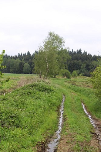 Pod nohama je mokro