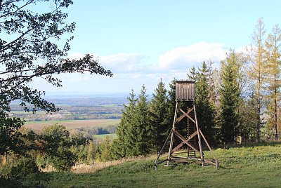 Zvířata najdou útočiště a hajný je bude pozorovat