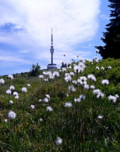 Rozhledna Praděd (1492m)  - 145,5m vysoká věž patří Českým telekomunikacím, prosklená vyhlídka ve výšce 80 m je dostupná jen výtahem. Postavená na přelomu 70. a 80. let minulého století