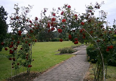 Botanická zahrada v Olomouci