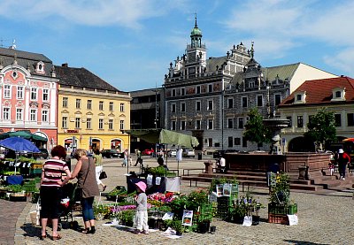 8. Trh ve městě na náměstí