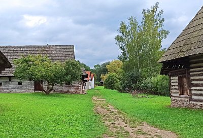 Cestička k domovu