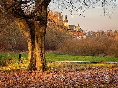 Zámecký park