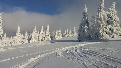 Zimní Krkonoše_Nad Friesovými boudami.jpg