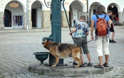 Žízeň