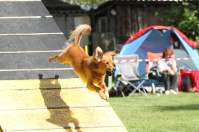 Agility  miluju