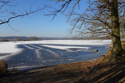 amerika-zamrzly-rybnik.jpg