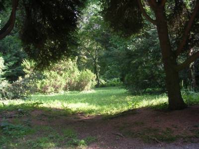 arboretum-bila-lhota-10-.jpg