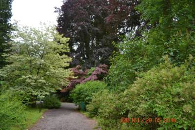 arboretum-bila-lhota-31-.jpg