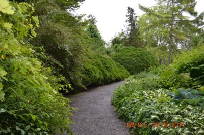 arboretum-bila-lhota-62--1.jpg