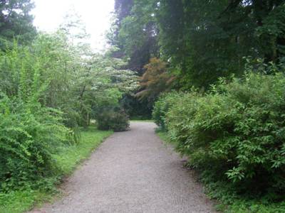 arboretum-bila-lhota-85-.jpg