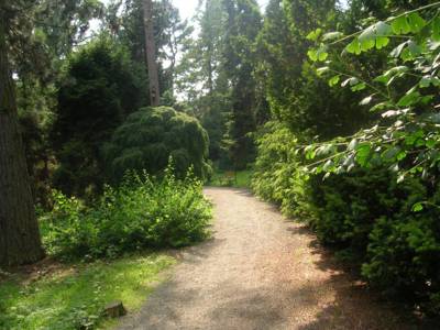 arboretum-bila-lhota-cesticky-8-.jpg