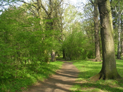 bohdanecsky-park.jpg