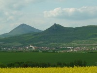 České středohoří a řeopka olejka. Milešovka a Košťálov.