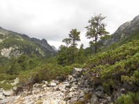 Vysoké Tatry