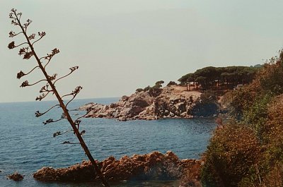 costa-brava-5.jpg