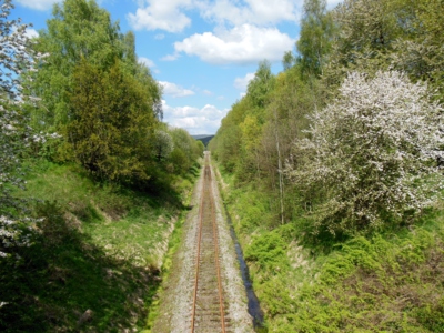 Cesta do neznáma