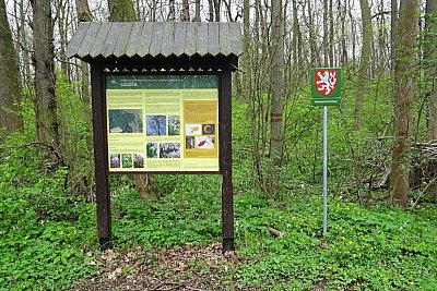 dsc01265-prorodni-rezervace-louzek-1.jpg