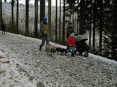 Nově upravená cesta je nepohodlná.