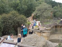 Zoo