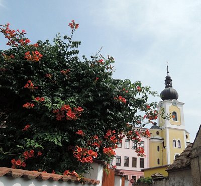 Pohled z boční uličky na věž kostela Sv. Ondřeje