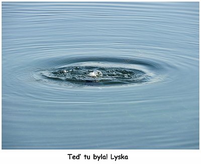 dscn7993-ted-tu-byla.jpg