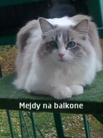 Mejdy na balkoně