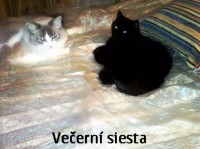 Večerní siesta