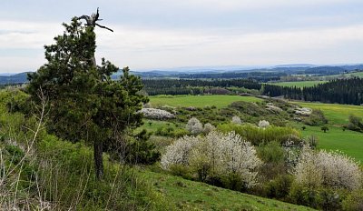 hartenstejn-26.4.2019-036.jpg