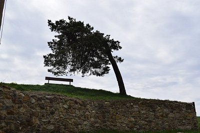 hartenstejn-26.4.2019-048-1.jpg