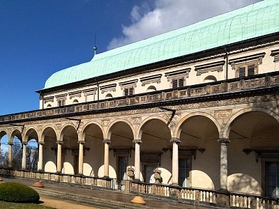 LETOHRÁDEK V MODRÉM - pokus