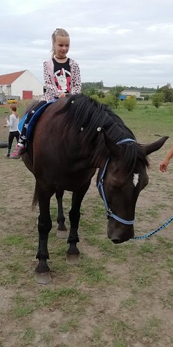 17.8.2019 odpoledne u koní