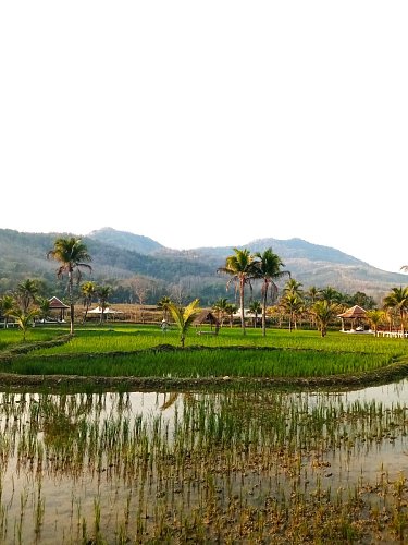 Procházka kolem hotelu, Luang Prabang