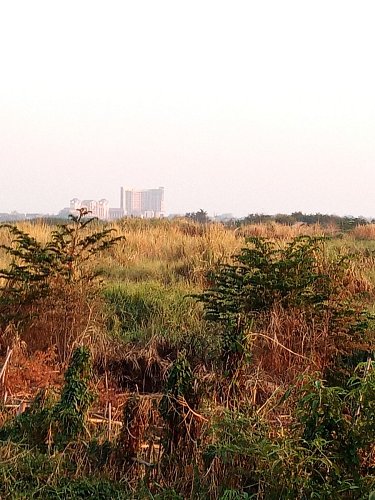 Thajsko na druhém břehu Mekongu, Vientiane