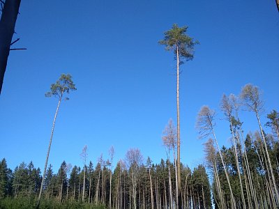 Vydrží ti jedinci ?