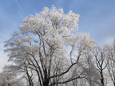 Modrobílá - kéž by vydržela