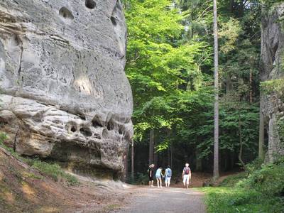 člověk a monstrum