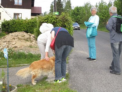 Lidmi potkává pejska a neodolá, hlad je hlad