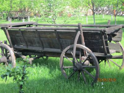 skanzen