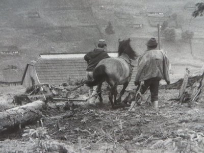 typický obrázek Podkapadské Rusi