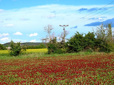 inkarnat-za-podlusky.jpg