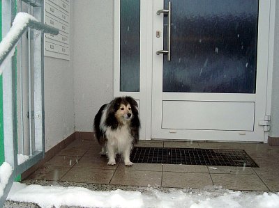 Tak už mě pusťte konečně domů!