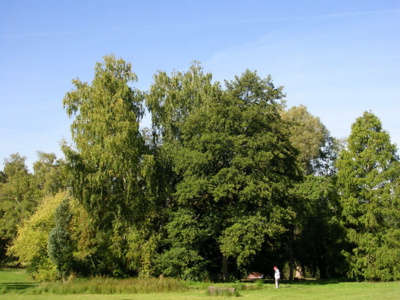 kopidlnsky-zamecky-park.jpg