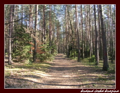 kouzlo-ceske-prirody-024-hradec-kralove.jpg