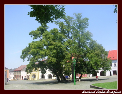 kouzlo-ceske-prirody-054-prerov.jpg