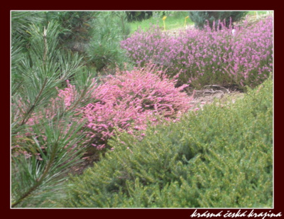 kouzlo-ceske-prirody-186-arboretum-boskovice.jpg