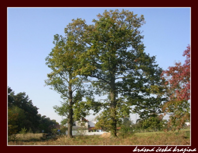 kouzlo-ceske-prirody-217-ceperka.jpg