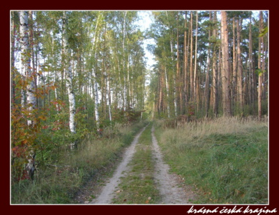 kouzlo-ceske-prirody-228-ceperka.jpg